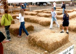 Mazes-with-rules